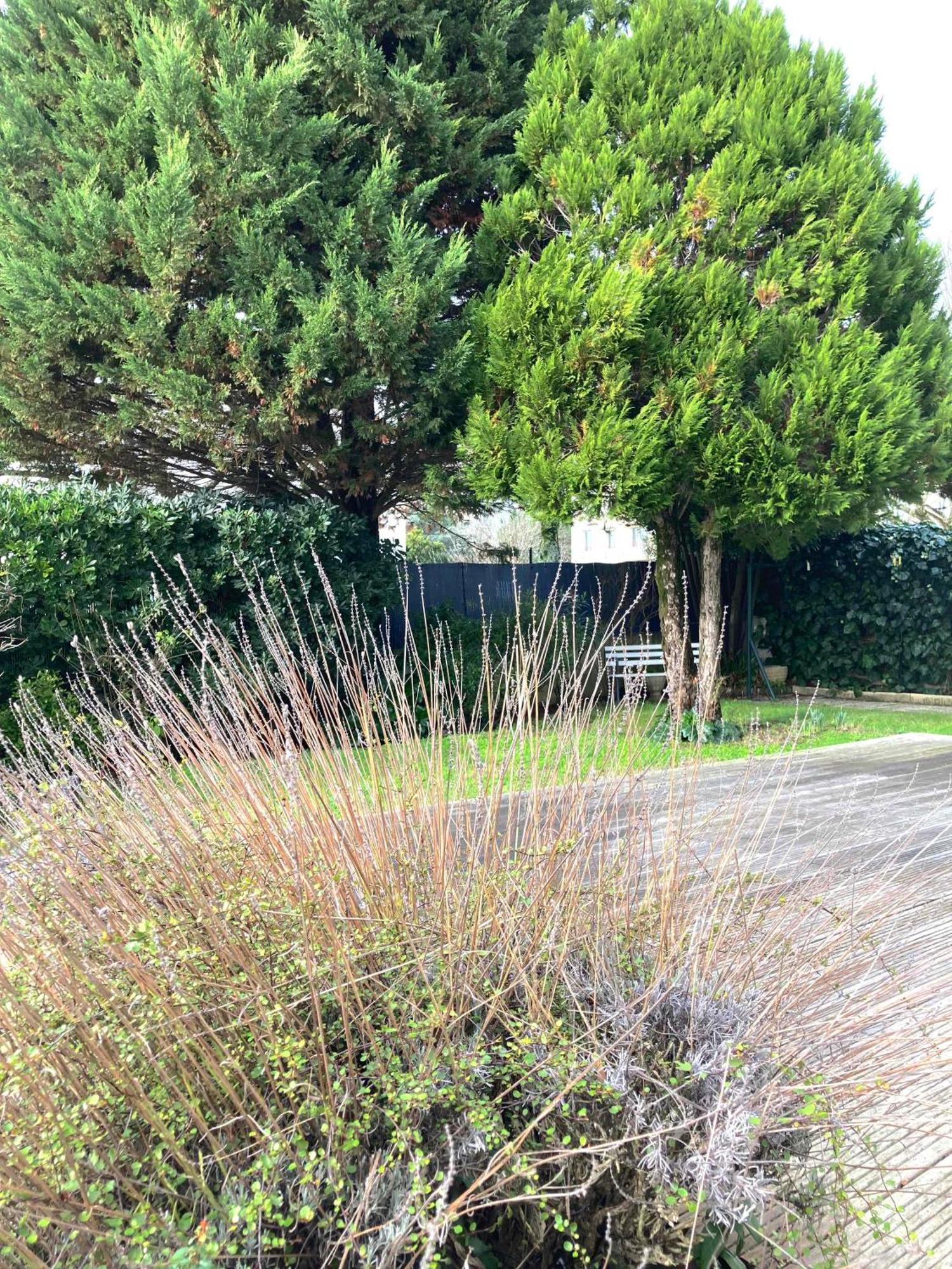Maison Centre Ville Avec Jardin , Terrasse, Et Garage Velos 拉罗歇尔 外观 照片